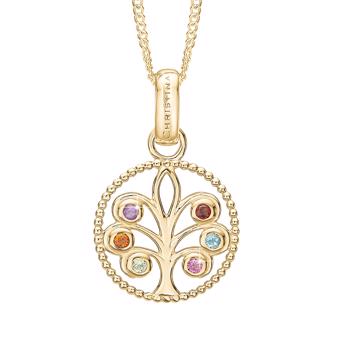 Kjøb Christina Jewelry model 680-G88 her på din klokker og smykke shop