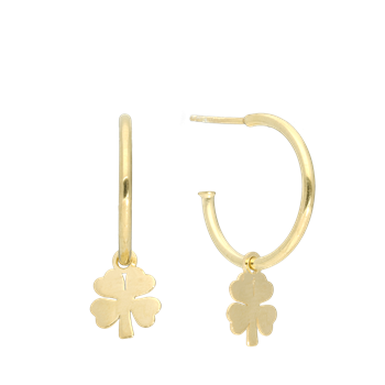 Halvcreol Clover, fra Aagaard