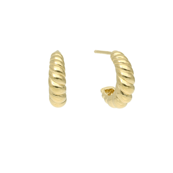 Halvcreol konkylie, fra Aagaard