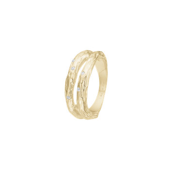 Ring, Forest, forg., fra Aagaard