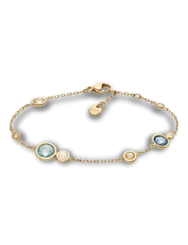 Model SKJ1896710, autoriseret forhandler Klokkerogsmykker.shop - Norsk